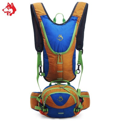 Famous Brand Outdoor Sports Travek Walking Hiking Backpacks Bag For Bicycle Climbing Camping Backpack Mountain Bags Rucksack